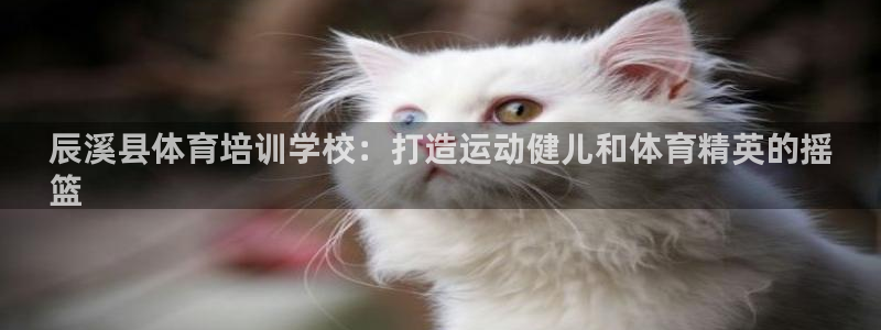 富联娱乐测速登录：辰溪县体育培训学校：打造运动健儿和