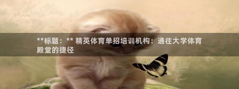 富联娱乐登录注册入口官网网址查询：**标题：** 精英体育单