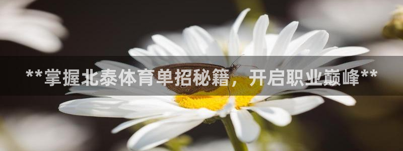 富联申购何时上市：**掌握北泰体育单招秘籍，开启职业