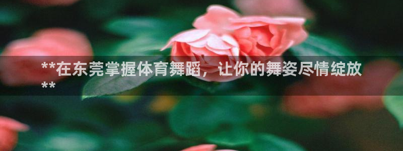 富联娱乐股东结构：**在东莞掌握体育舞蹈，让你的舞姿
