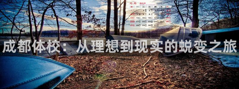 富联平台事 411O31 富联