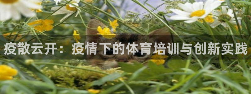 富联娱乐股东名单