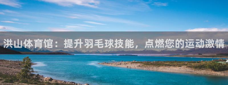 富联平台网站：洪山体育馆：提升羽毛球技能，点燃您的运动激情