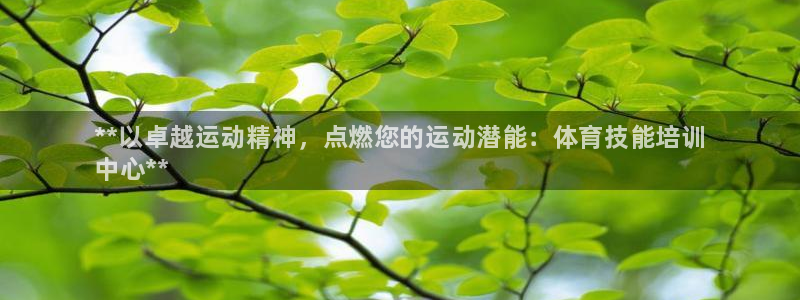 股票富联申购今天多少钱：**以卓越运动精神，点燃您的运动潜能