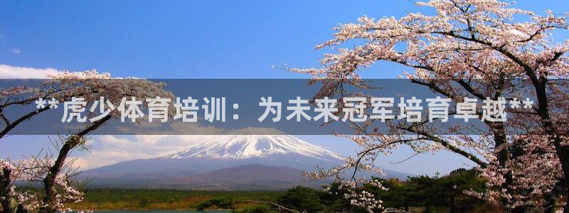 富联娱乐在线注册链接是什么：**虎少体育培训：为未来