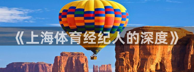 富联娱乐登录注册入口官网网址：《上海体育经纪人的深度