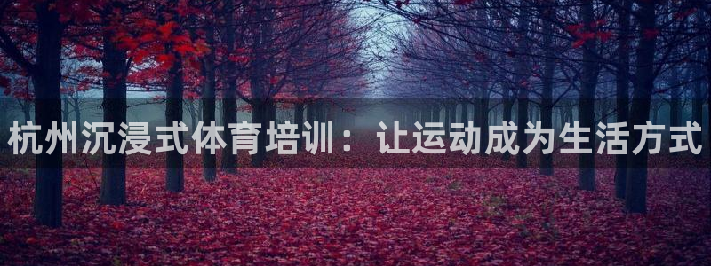富联科技上市了吗知乎：杭州沉浸式体育培训：让运动成为生活方式
