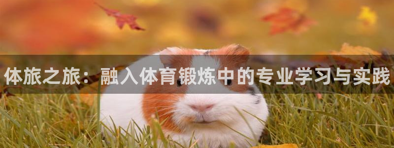 富联大厦：体旅之旅：融入体育锻炼中的专业学习与实践