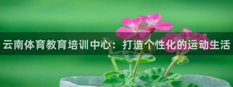 富联平台易 411o31 平台：云南体育教育培训中心