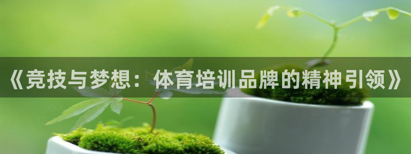 富联平台飞 411o31 富联：《竞技与梦想：体育培训品牌的