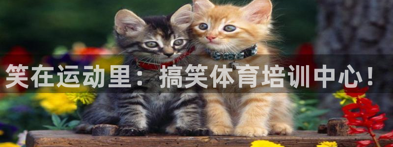 富联平台叩 411O31 富联：笑在运动里：搞笑体育培训中心