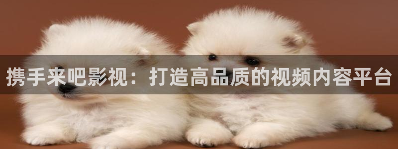 不忠爱看影视