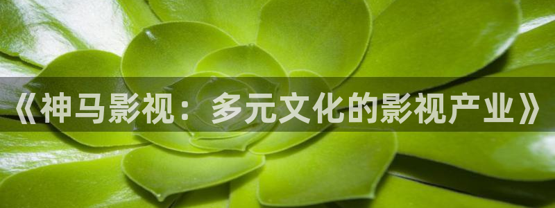 爱看影视剪辑