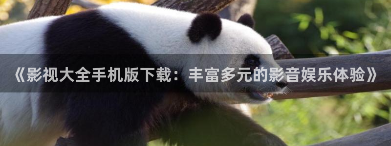 爱看福利电影网ak午夜