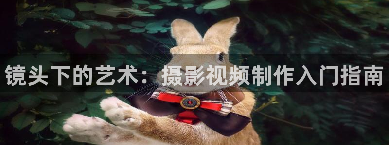 爱看影视在线观看