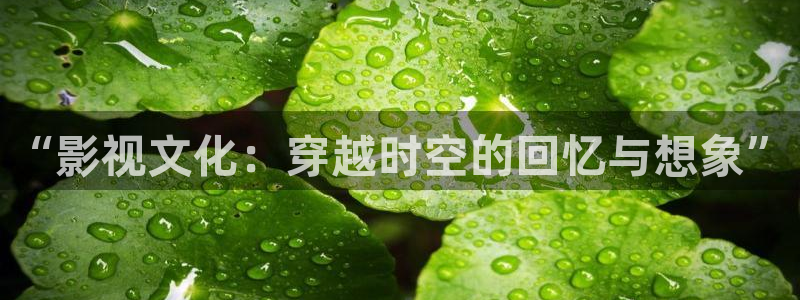 午夜爱看福利电影