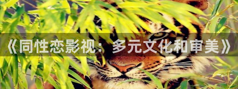 爱看被窝电影