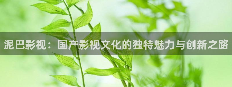 就爱看影视tv版下载