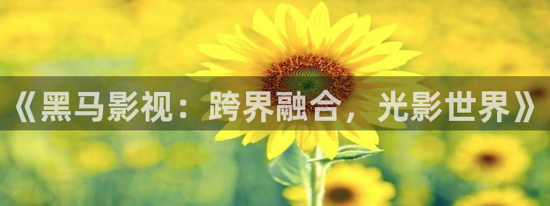 爱看影视应用