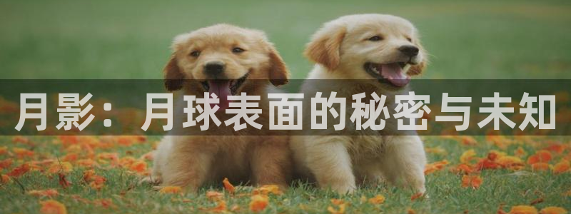 爱看影视剧