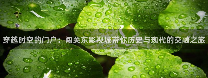 就爱看影视 官网